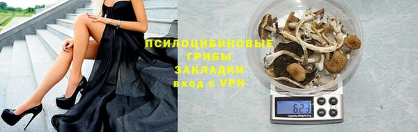герыч Арсеньев