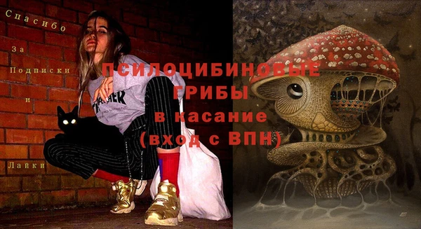 дурь Балахна