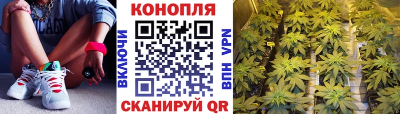 площадка телеграм  Кологрив  Марихуана марихуана 